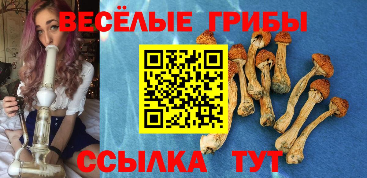 Воркута  Галлюциногенные грибы мицелий  Вход с VPN 